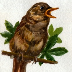 курский соловей