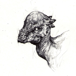Пахицефалозавр