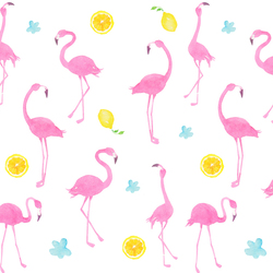 pink flamingo _02