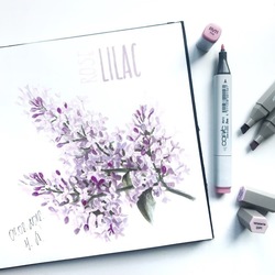 Rose lilac