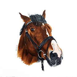 Портрет лошади