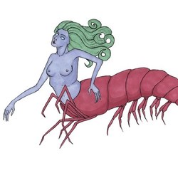 Shrimp mermaid