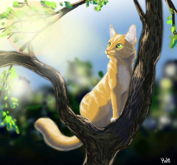 Кот на дереве | Пикабу