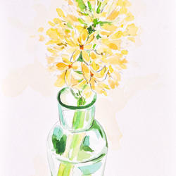 Гиацинт в вазе