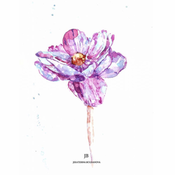 Flower aquarelle