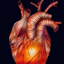 любовь в сердце