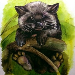 Детёныш лисицы