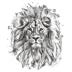 panel lion