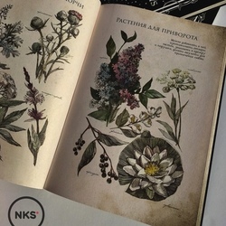 Ботаническая иллюстрация для книги теней от 