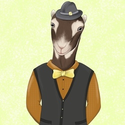 Fashion lamancha goat