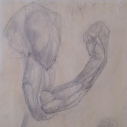 Отрисовка гипса.