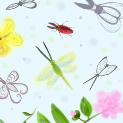 insects and brunia