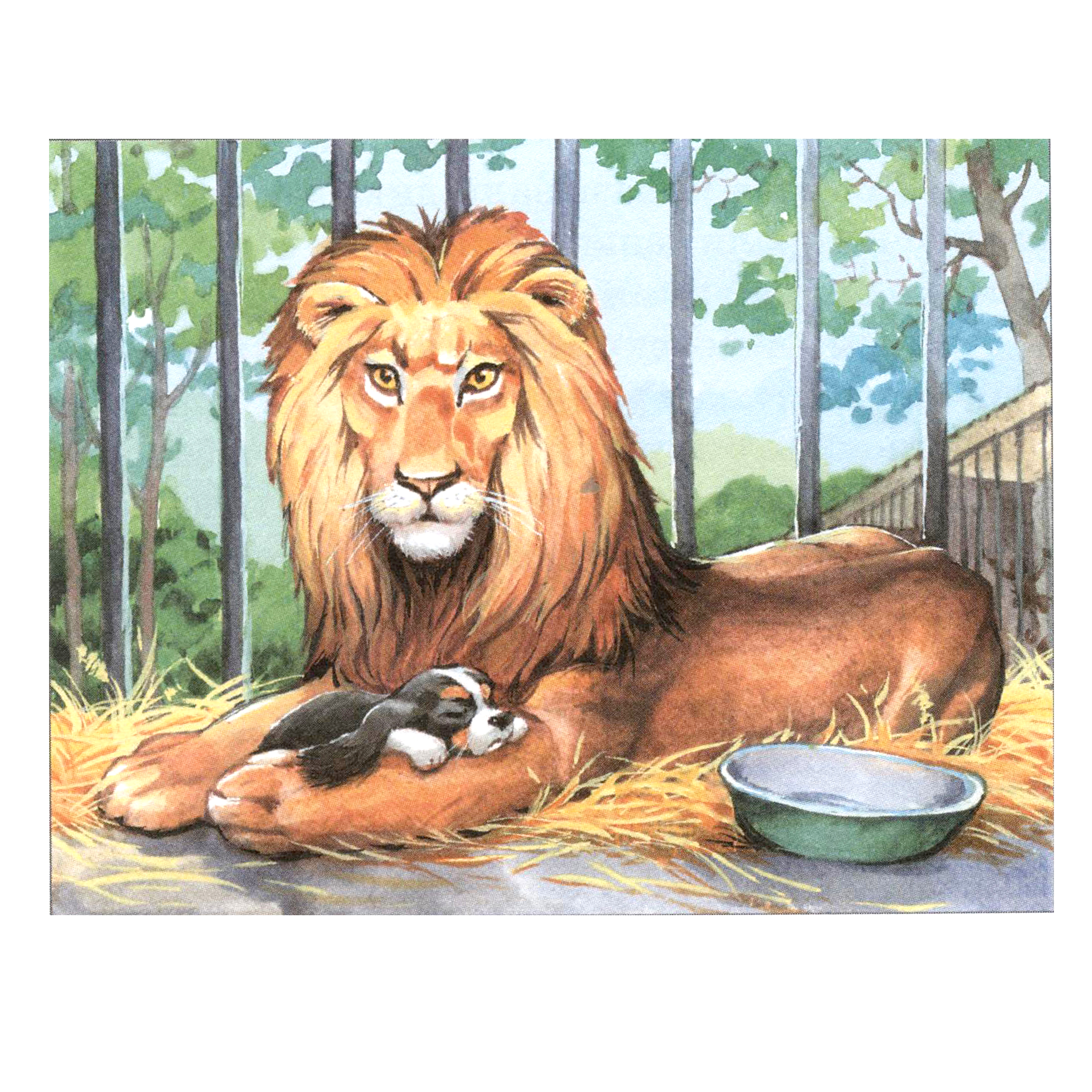 Читать 3 льва. Лев толстой "Лев и собачка". Лев и собачка толстой. Быль Льва Толстого Лев и собачка. Рассказ Льва Николаевича Толстого Лев и собака.