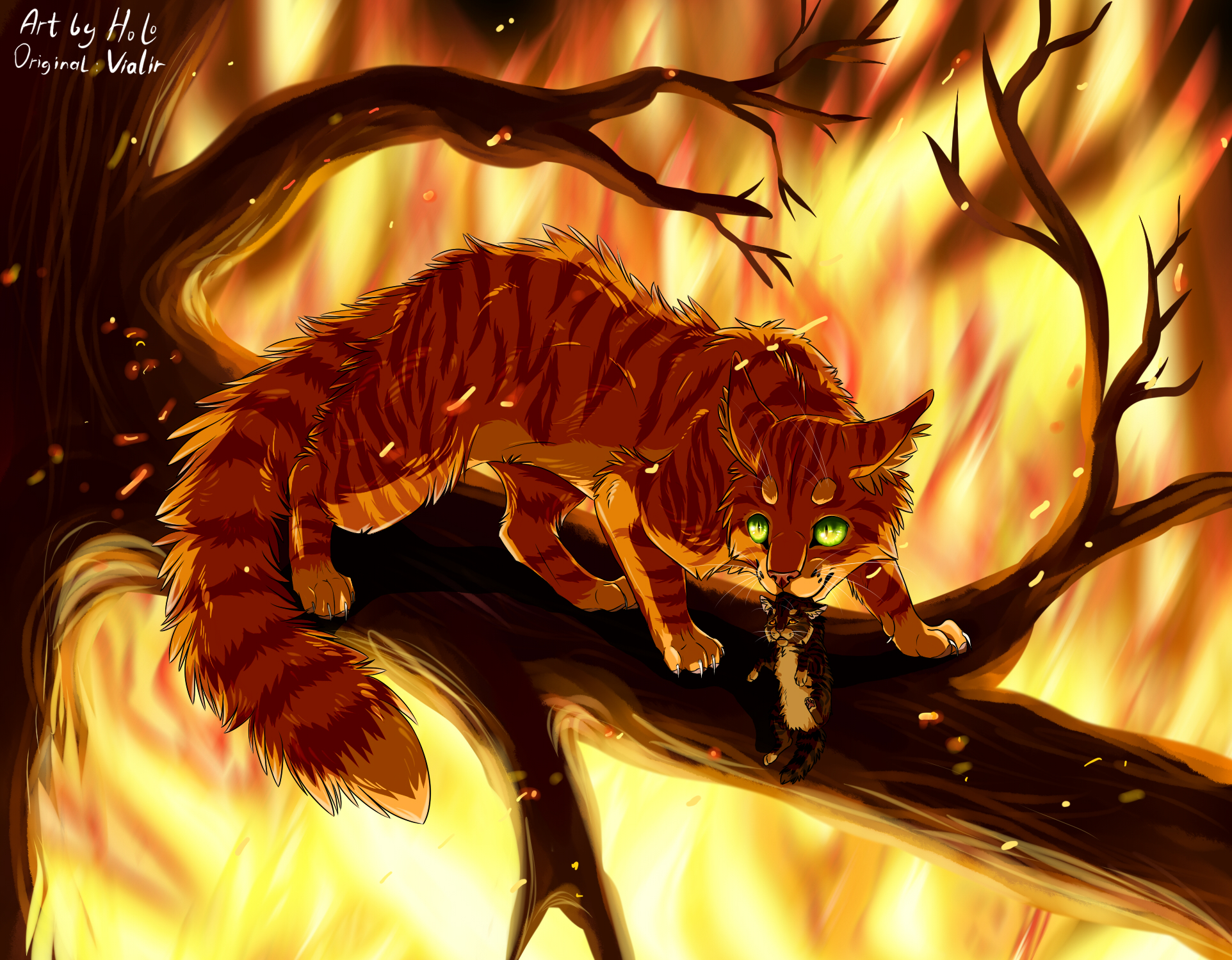 Коты Воители Огнехвост