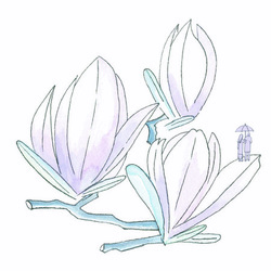 Магнолия. Город Люксембург.