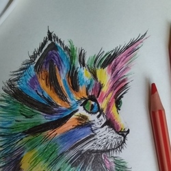 Кот