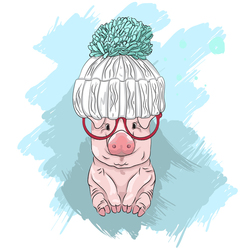 Маленький поросенок в шапке