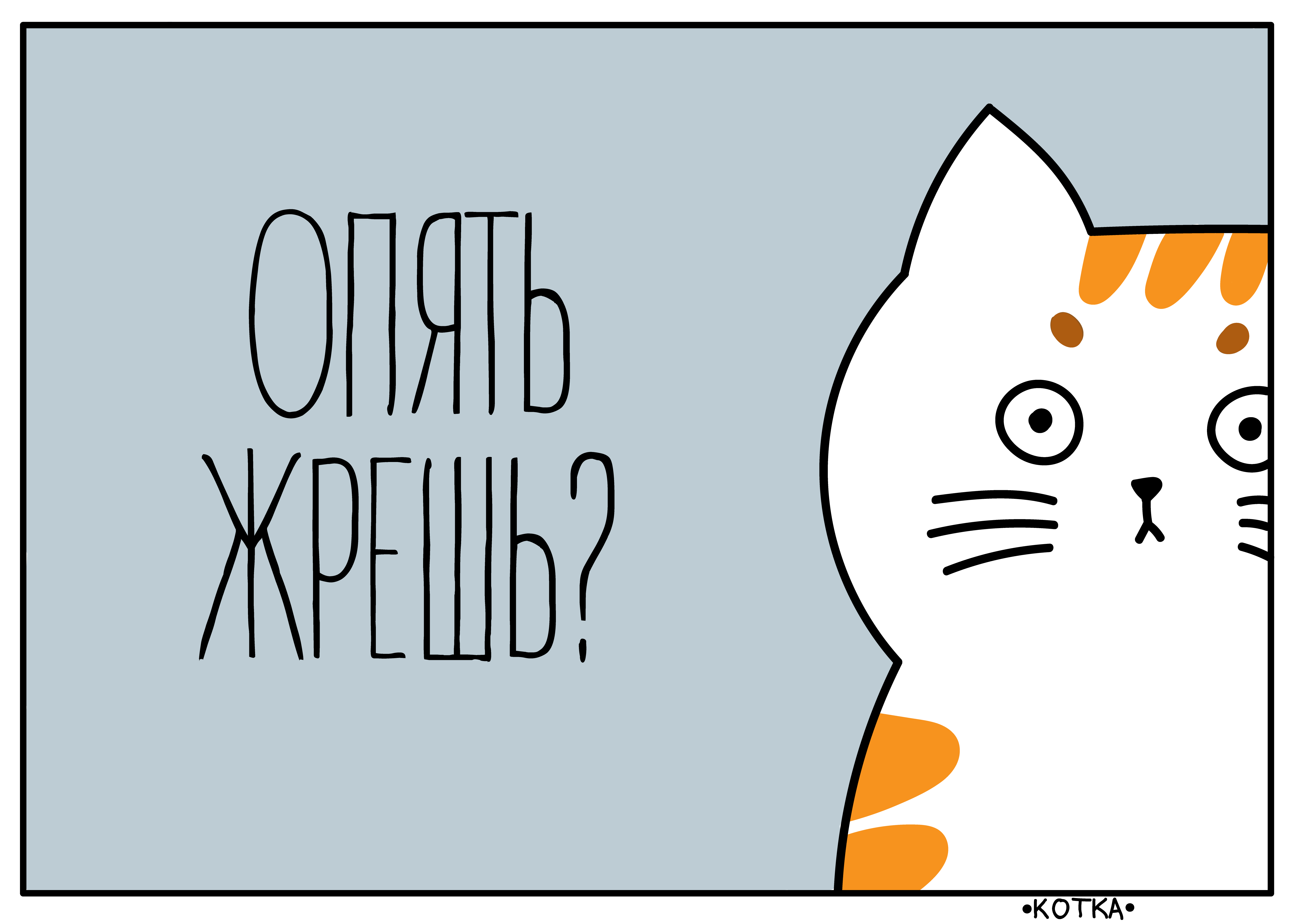 Кот из тик тока рисунок