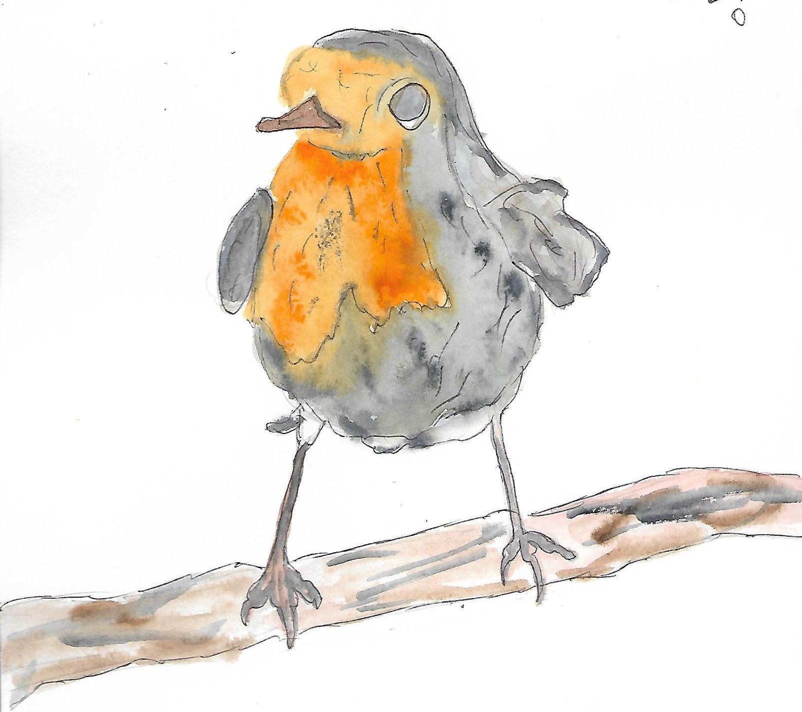 Птичка-малиновка