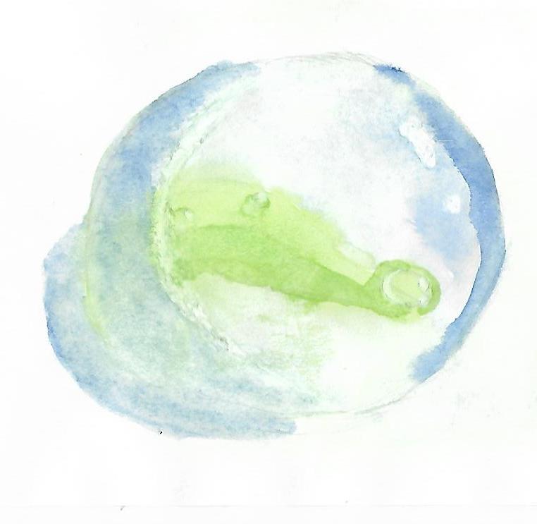 Мир в капле воды