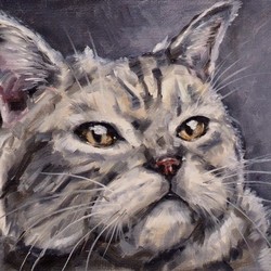 Картина маслом "Серый кот"