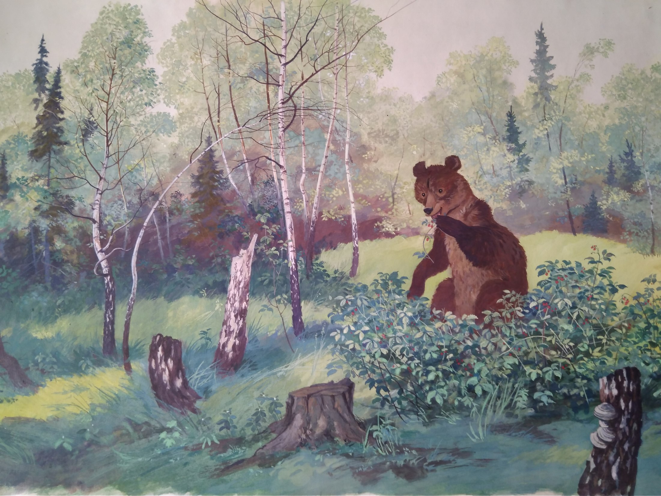 Медведь в малиннике