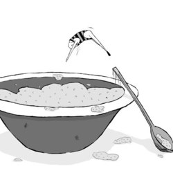 Типичный отдых Кашиедов