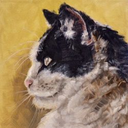 Картина маслом "Мудрый кот"