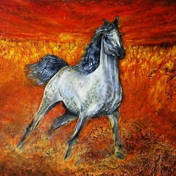 Арабский скакун.