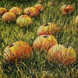 Яблоки на траве.