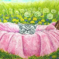 Кошачье счастье.