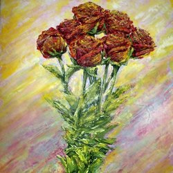 Бордовые розы