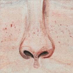 Нос "части пазла"