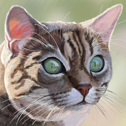 Компьютерная графика