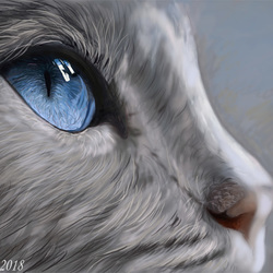 Компьютерная графика