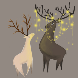 deer illustration