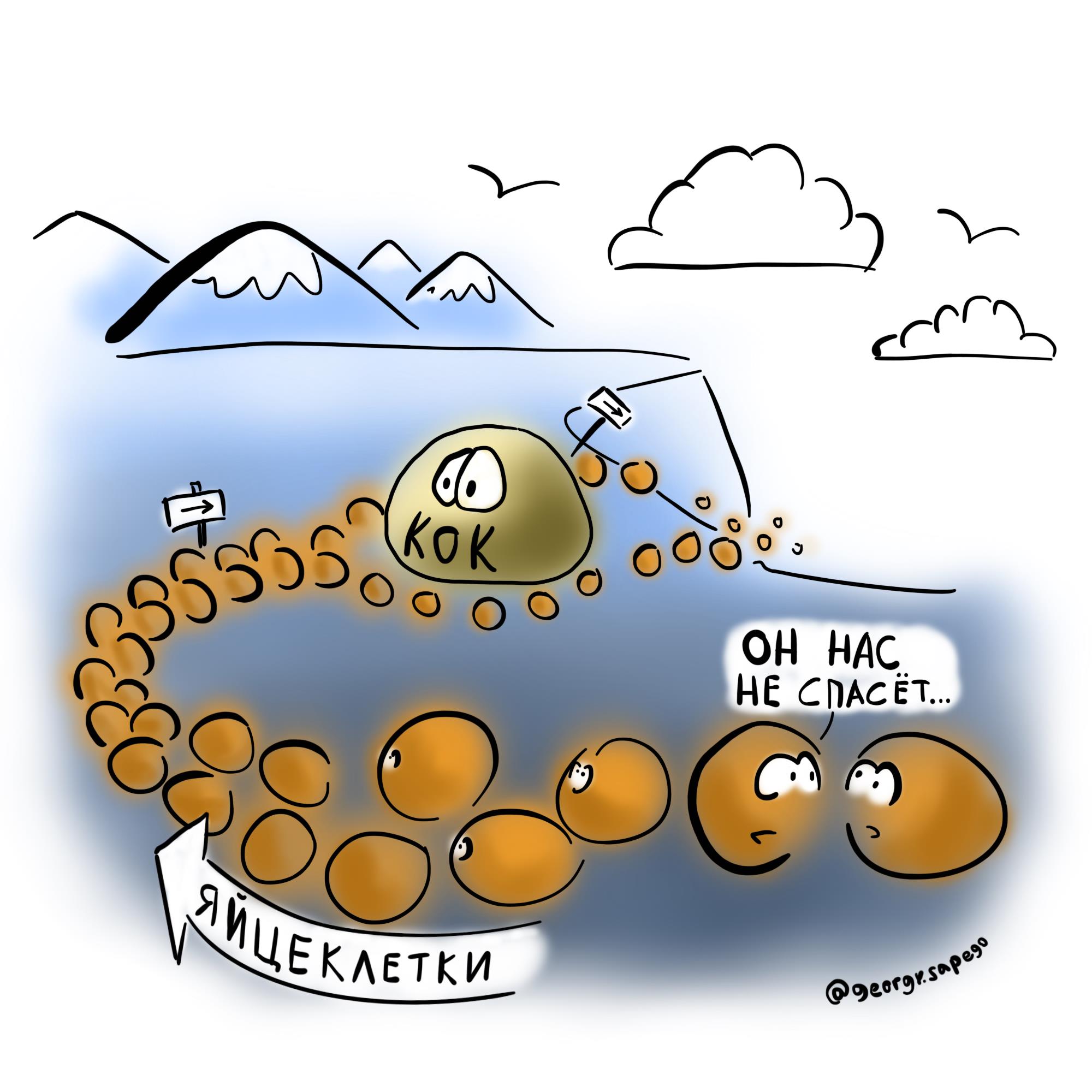 Гормональные конрацептивы не спасут яйцеклетки