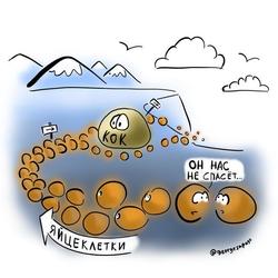 Гормональные конрацептивы не спасут яйцеклетки