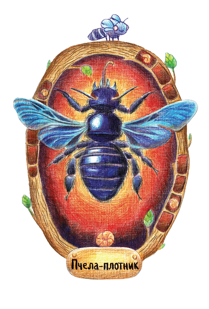 Иллюстрация пчела-плотник | Illustrators.ru