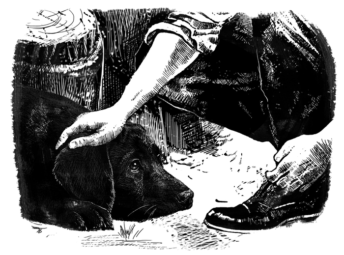 Верные друзья иллюстрации. Собака Графика иллюстратор. Иллюстрации к сказке преданный друг. Настоящий верный друг иллюстрации.