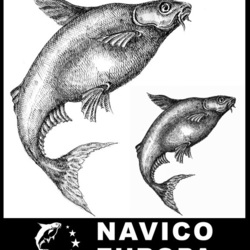 Пангасиус для логотипа Navico