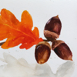 Дубовая ветка