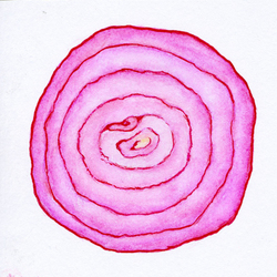 Красный лук