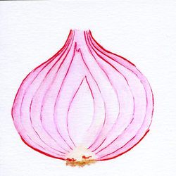 Красный лук