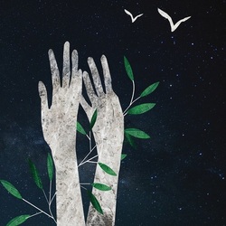 Иллюстрация поэзии