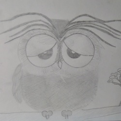 Усталая сова