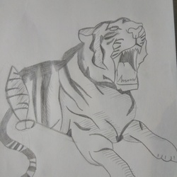 Рычащий тигр