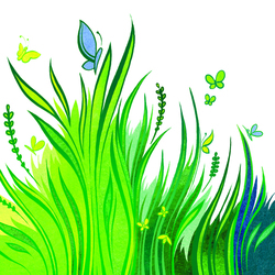 "Почему трава зеленая"