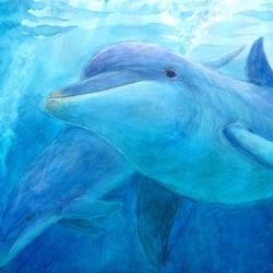 "Встреча с дельфинами".