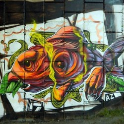 Graffity. FISH